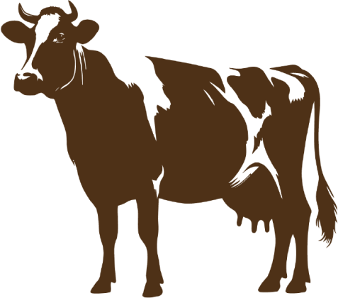 Cow Leather